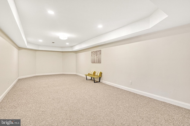 basement with carpet