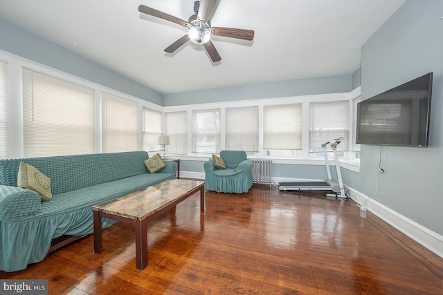 living room featuring dark hardwood / wood-style floors, ceiling fan, and radiator heating unit