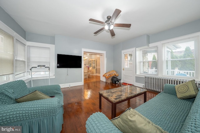 living room featuring dark hardwood / wood-style flooring, radiator, and ceiling fan