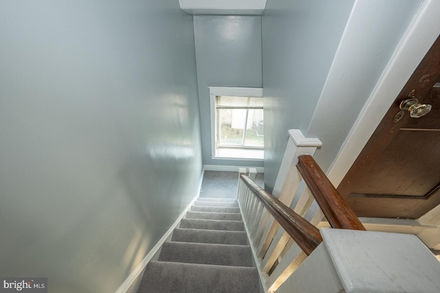 stairway featuring carpet