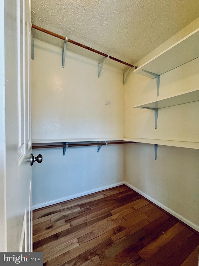 walk in closet with dark wood-type flooring