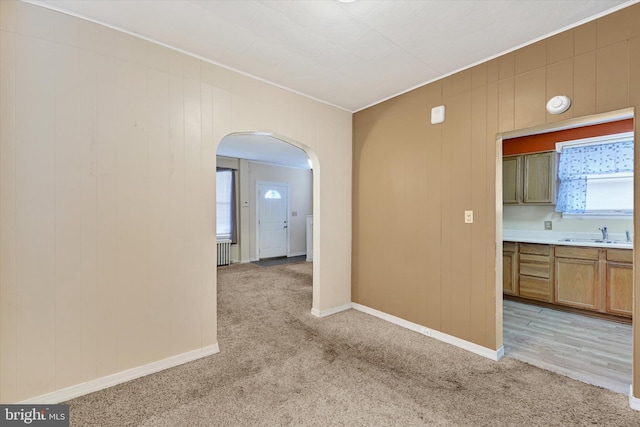 spare room with light carpet, plenty of natural light, ornamental molding, and sink