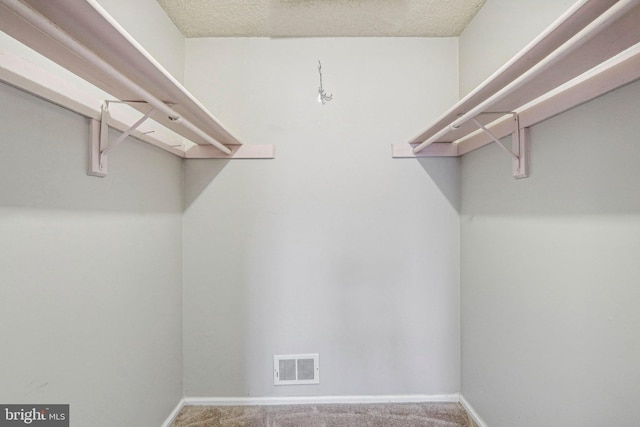 walk in closet featuring carpet floors