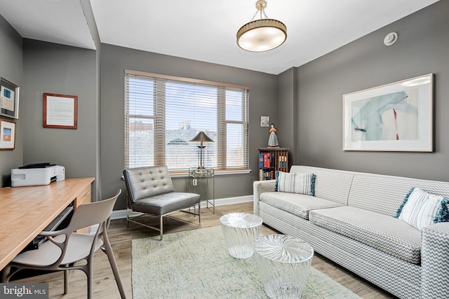 living room with wood-type flooring