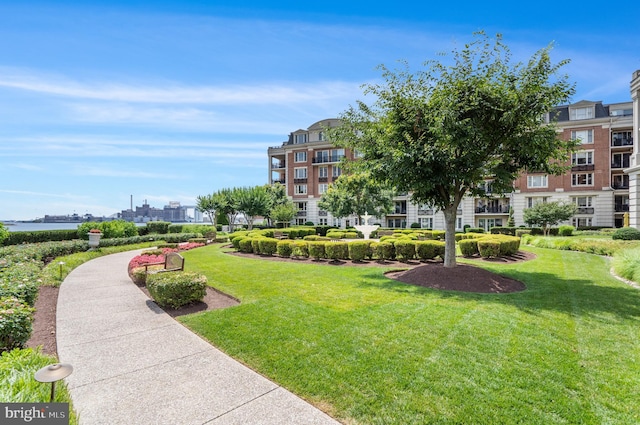 view of home's community with a yard