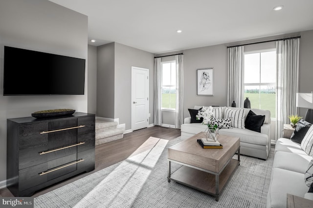 living room featuring dark wood-type flooring