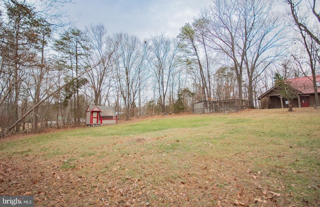 view of yard featuring a storage shed