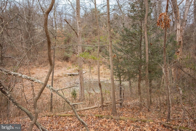 view of local wilderness