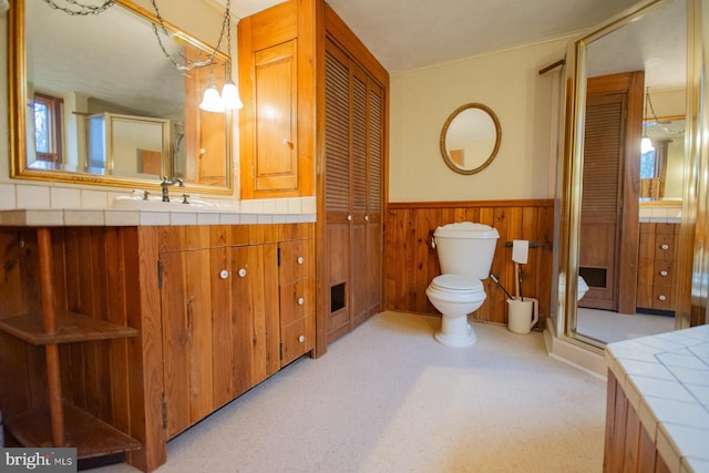 bathroom with vanity, toilet, and wooden walls