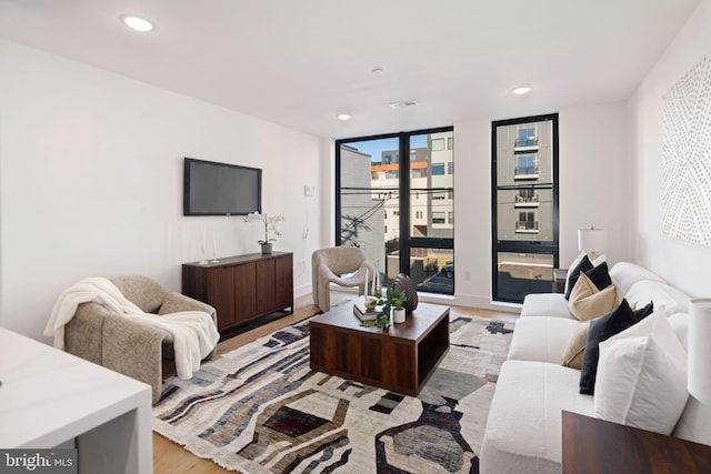 living room featuring expansive windows and light hardwood / wood-style floors