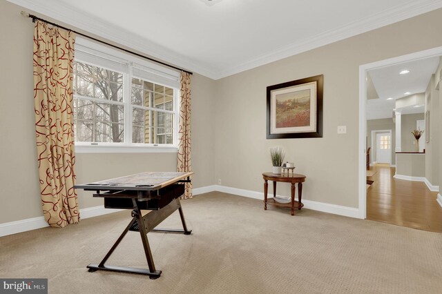 carpeted office space featuring crown molding