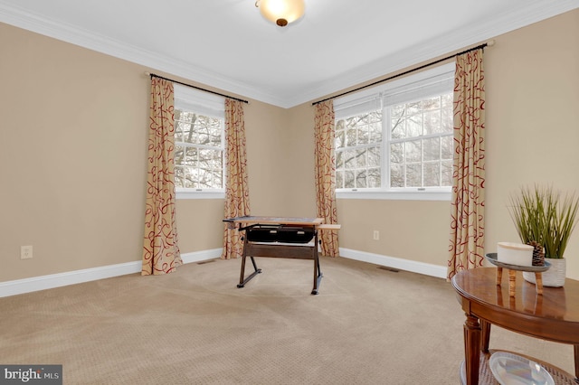 misc room with light colored carpet and crown molding