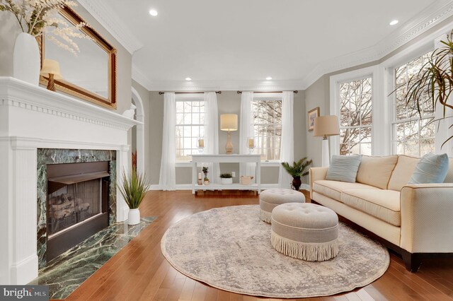 living room with wood-type flooring, ornamental molding, and a premium fireplace