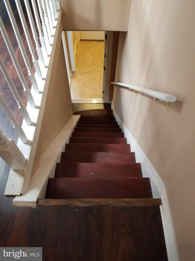 staircase featuring wood-type flooring