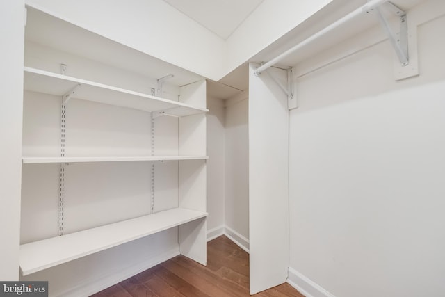 spacious closet featuring wood-type flooring