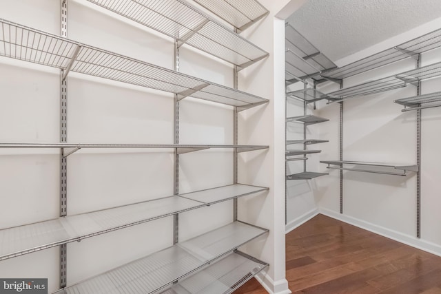 spacious closet with dark hardwood / wood-style flooring