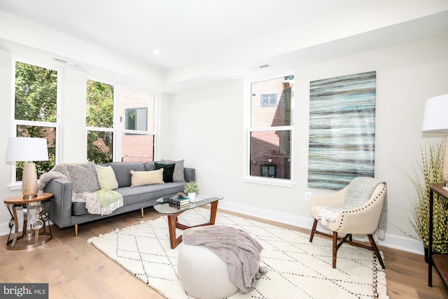 living room featuring light hardwood / wood-style floors