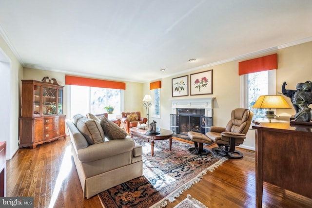 living room featuring a fireplace, plenty of natural light, hardwood / wood-style floors, and ornamental molding