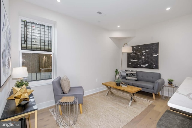 living room featuring light hardwood / wood-style floors