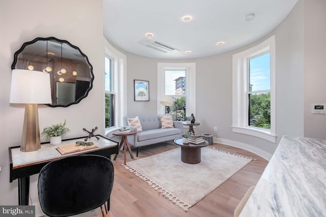 interior space featuring hardwood / wood-style floors and a wealth of natural light