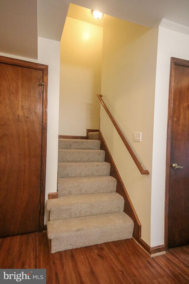 staircase with wood-type flooring