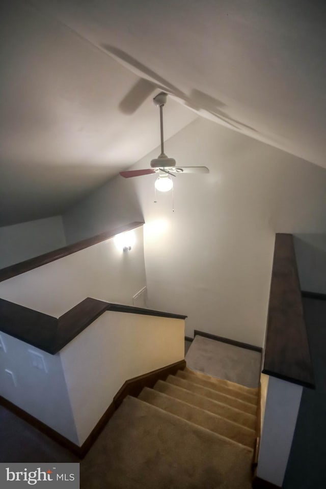 stairway with carpet flooring, ceiling fan, and vaulted ceiling