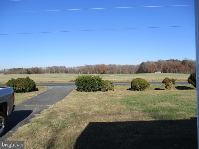 view of yard featuring a rural view