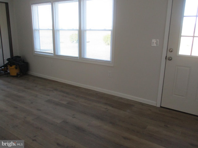 foyer featuring a wealth of natural light and dark wood-type flooring