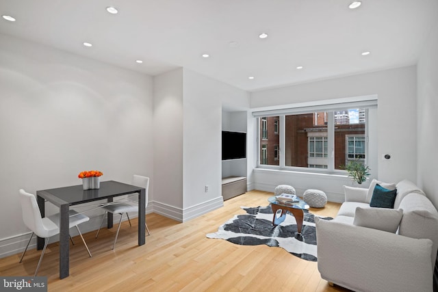 living room with light wood-type flooring