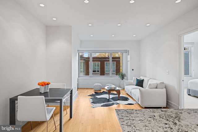 living room featuring light hardwood / wood-style flooring