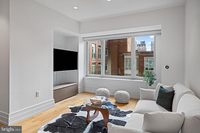 living room featuring hardwood / wood-style floors