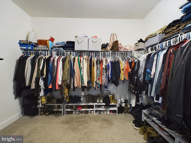 walk in closet with carpet flooring