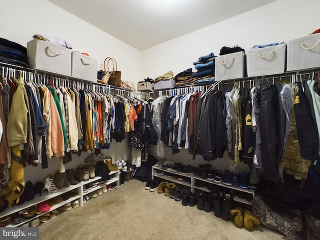 spacious closet with carpet