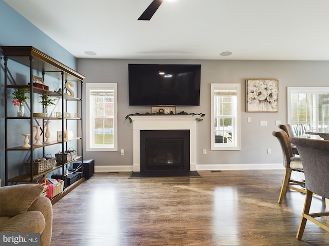 living room with a wealth of natural light, dark hardwood / wood-style flooring, and ceiling fan