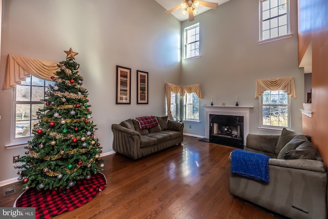 living room with plenty of natural light, ceiling fan, wood-type flooring, and a high ceiling