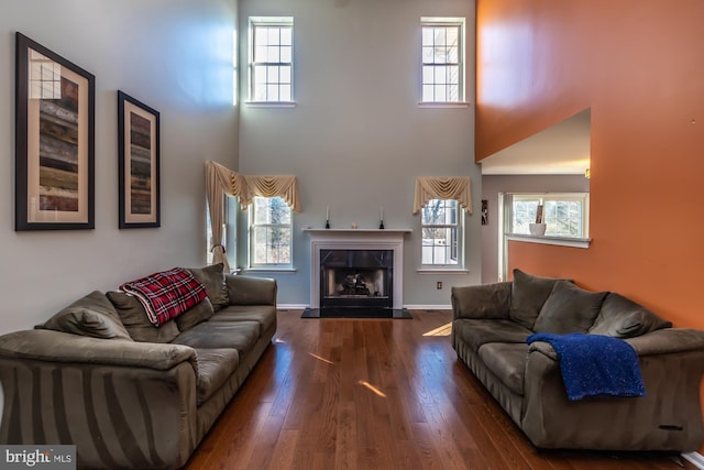 living room with a high ceiling and dark hardwood / wood-style floors