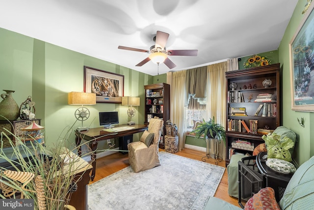 office area featuring ceiling fan and light hardwood / wood-style flooring