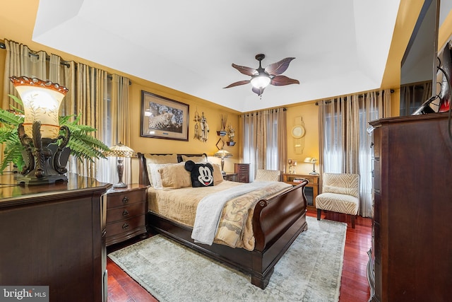 bedroom featuring dark hardwood / wood-style floors, a raised ceiling, and ceiling fan