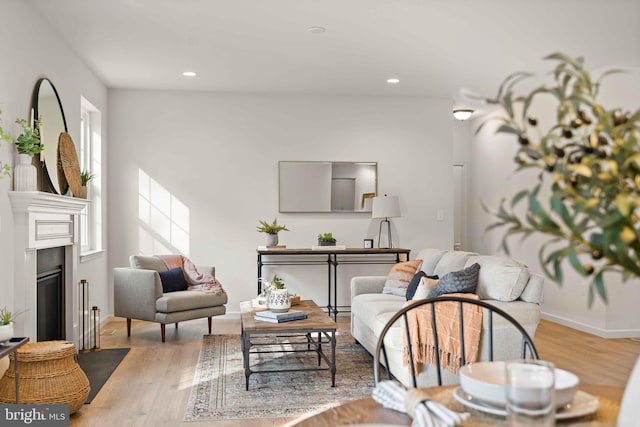 living area featuring light hardwood / wood-style flooring