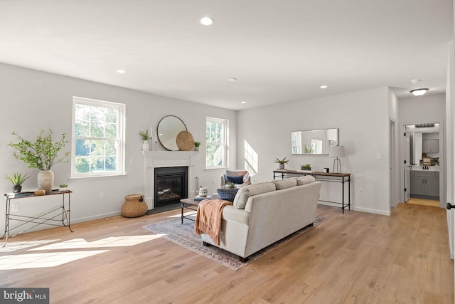 living room featuring light hardwood / wood-style flooring