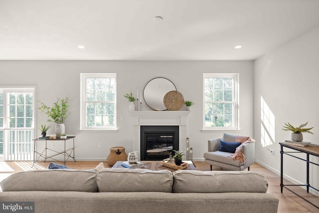 living room featuring light hardwood / wood-style floors and plenty of natural light