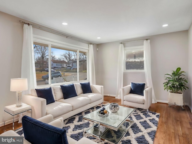 living room with hardwood / wood-style floors