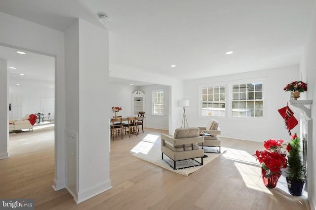 living room featuring light hardwood / wood-style floors