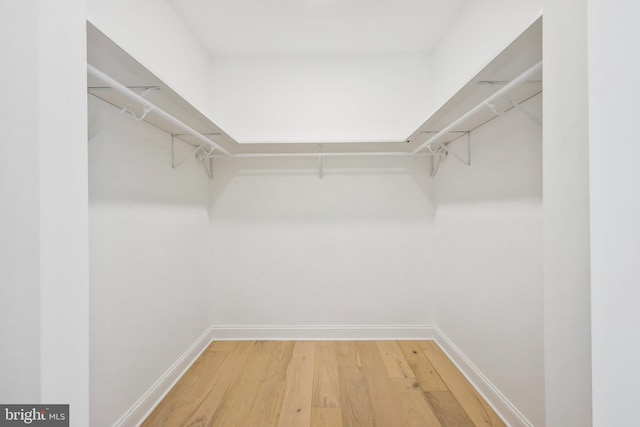 walk in closet featuring hardwood / wood-style floors