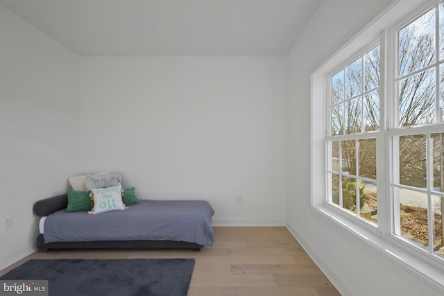 bedroom with multiple windows and light hardwood / wood-style flooring