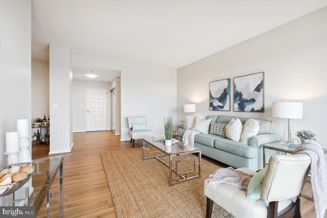 living room featuring hardwood / wood-style flooring