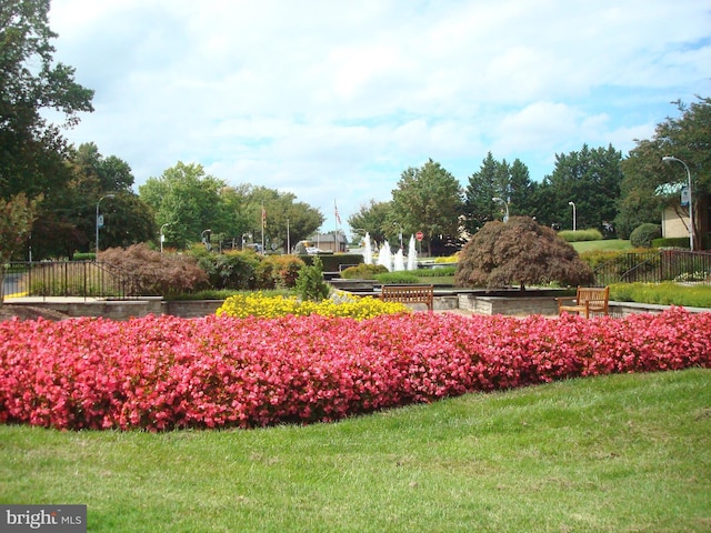 view of home's community featuring a yard