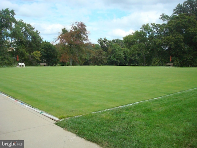 view of property's community with a yard