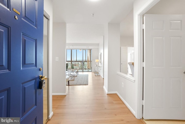 entryway featuring light hardwood / wood-style flooring