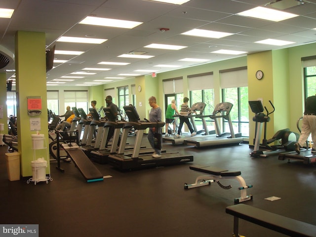 gym with a drop ceiling and a wealth of natural light